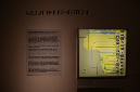 Wasp_exhibition__DSC3466
